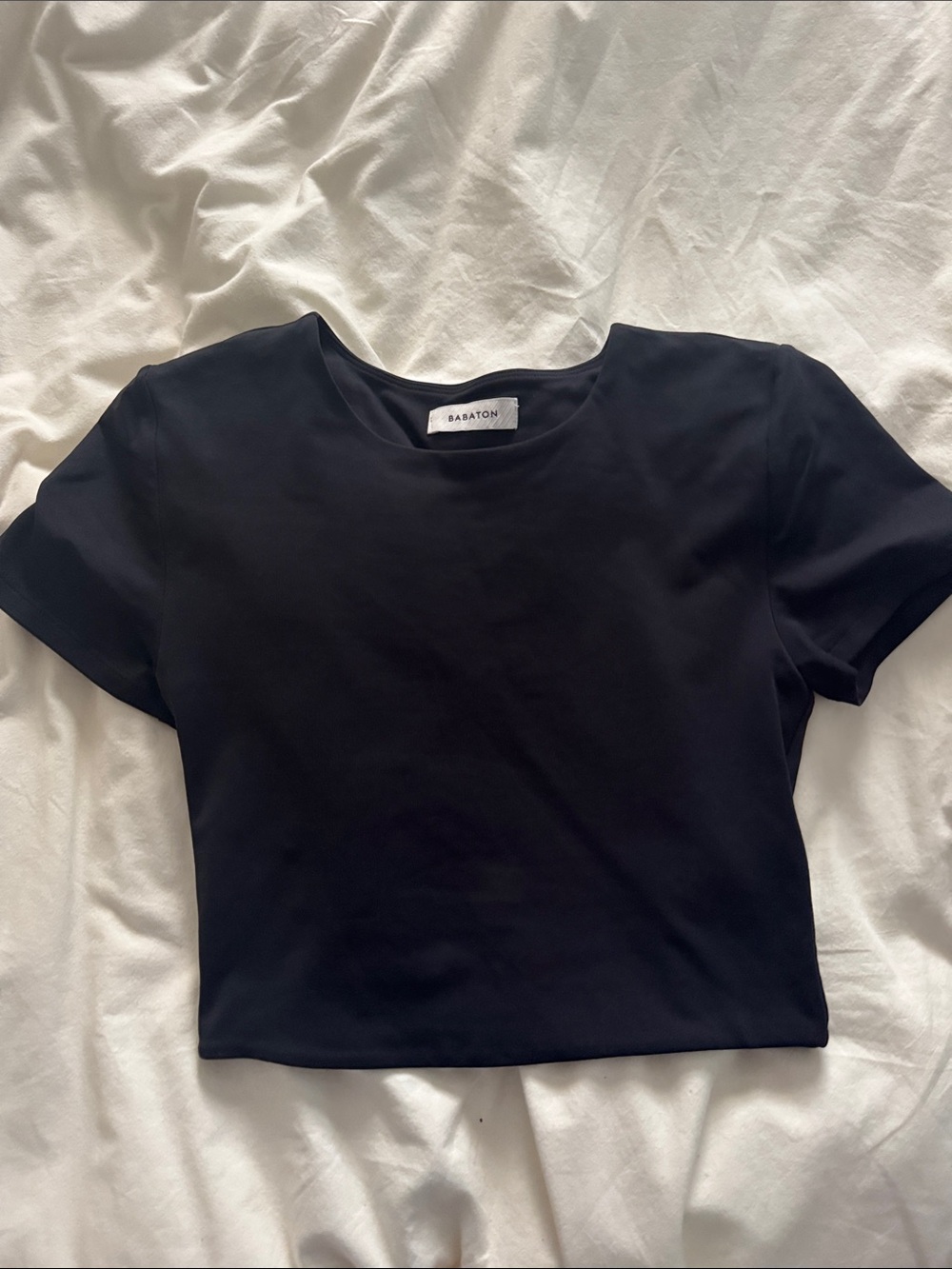 Aritzia Babaton cropped tee